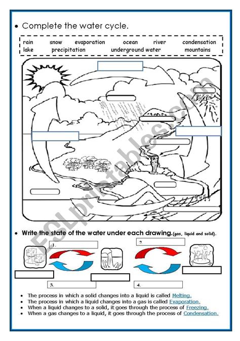The Water Cycle Esl Worksheet By Piedadrosell