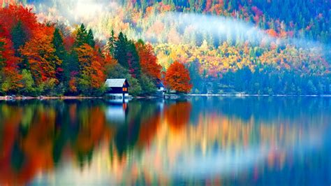 Nature Landscape Trees Forest Fall Colorful Water Lake Slovenia Mist House Reflection