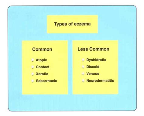 The Main Types Of Eczema