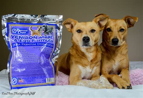 I walked into this review expecting to be happy with the product. ZoePhee: Brothers Complete Premium Dog Food Review