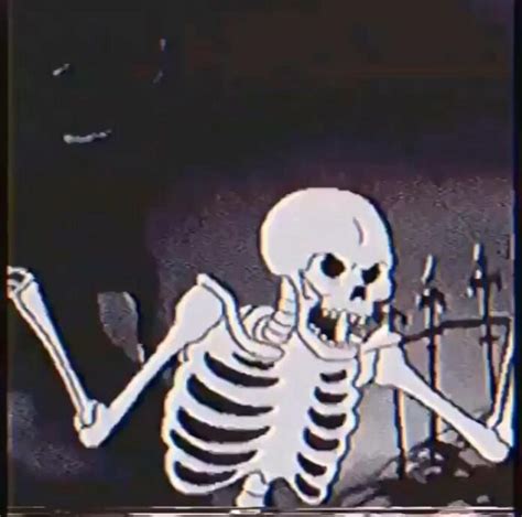 Skeleton Pfp Scary Halloween Pfp For Tiktok Ig Discord And Zoom
