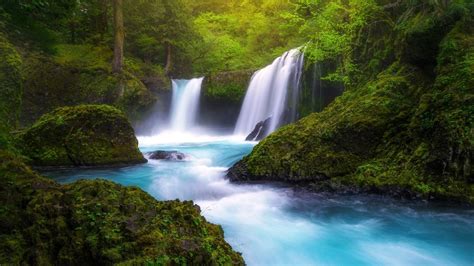 Green Forest Waterfall Hd Wallpaper Background Image 1920x1080 Id