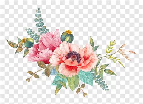 Watercolor Flower Png Image High Quality Transparent Background Free