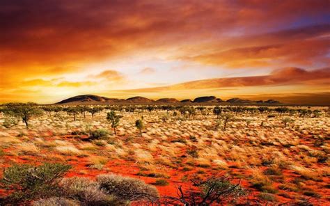 Australian Outback Desert Sunset Landscape Wallpaper Nature Images