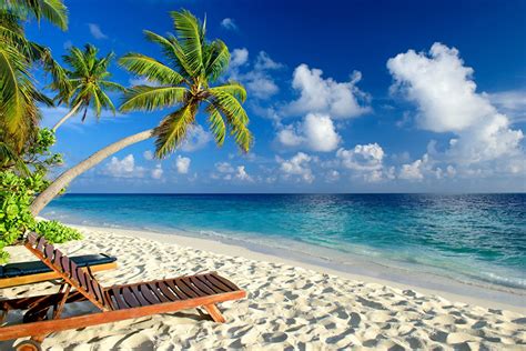 Desktop Hintergrundbilder Strand Meer Natur Tropen Palmengewächse