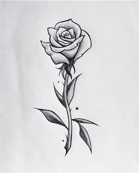 Learn How To Draw Roses With These Easy References Beautiful Dawn Designs