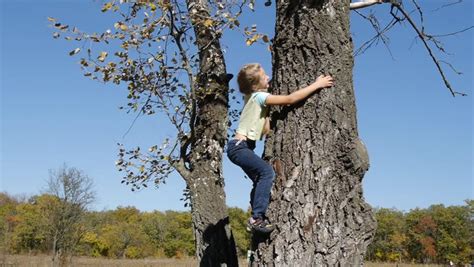 Girl Climbs A Tree Stock Footage Video 100 Royalty Free 9127853