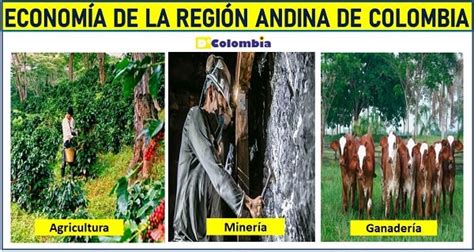 Economia De Las Regiones De Colombia De Colombia