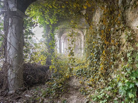 Abandoned Buildings Seen Reclaimed By Nature After Humans Leave In