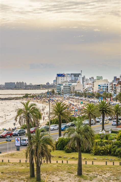 Aerial View Montevideo Beach Uruguay Editorial Stock Photo Image Of