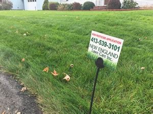 Pest or pestel analysis is a simple and effective tool used in situation analysis to identify the key external (macro environment level) forces that might affect an organization. Pest Services | NE Lawn Care