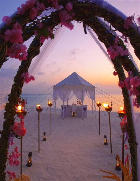 215 Best Beach Wedding Ceremony Ideas Images On Pinterest