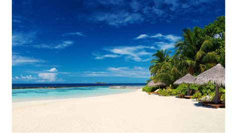 Free Download Caribbean Beach Nature 4k Wallpaper 4k Wallpaper Images
