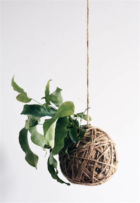 How To Make Kokedama Plant Sculptures These Four Walls