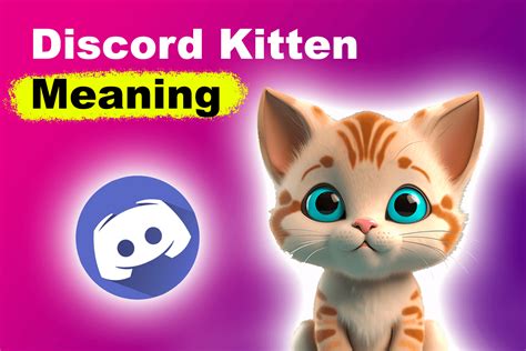 What Is A Discord Kitten Meaning Explained Alvaro Trigos Blog
