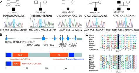 Trio Based Exome Sequencing Arrests De Novo Mutations In Early Onset