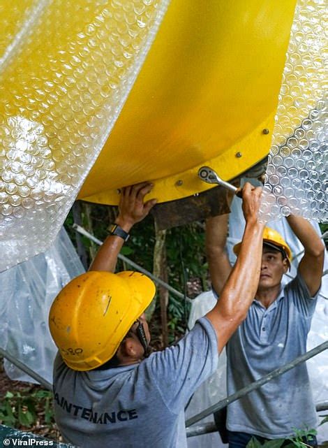 Malay translations powered by oxford languages slide in malay slide verb ( transitive, intransitive ) word forms: Images reveal the world's longest water slide, at Malaysia ...