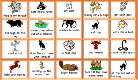 What does kids expression mean? list of idioms for kids