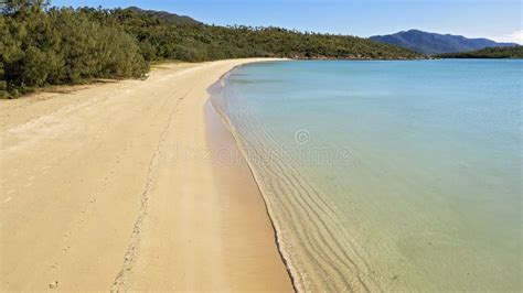 Coastline At Bushy Beach In New Zealand Stock Photo Image Of Travel