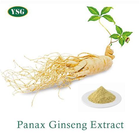 Panax Ginseng Extract Powder Ysg