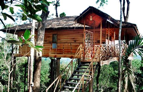 The Most Amazing Tree House Hotels Around The World