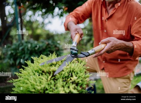 Cutting Bushes In The Garden Hi Res Stock Photography And Images Alamy