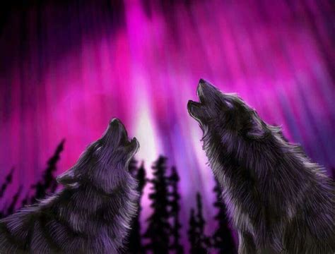 Talking To The Great Spirit Wolves Pinterest
