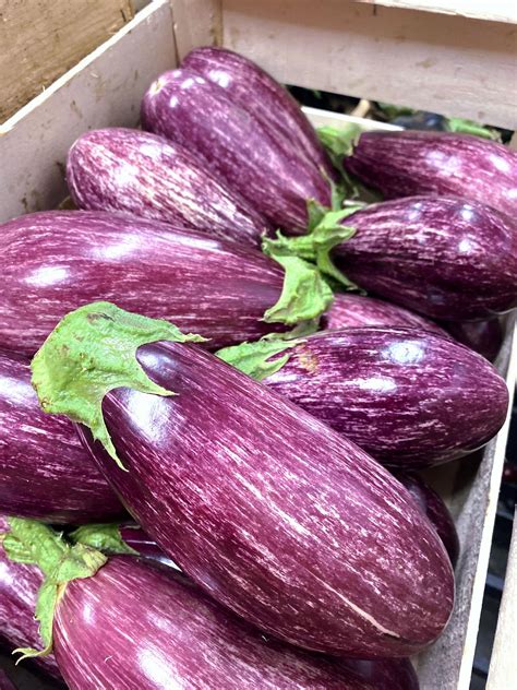 L aubergine tout savoir sur ce légume dété