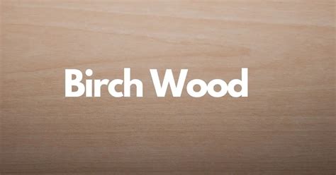 Birch Wood Properties Types Of Birch Uses Advantages And Disadvantages