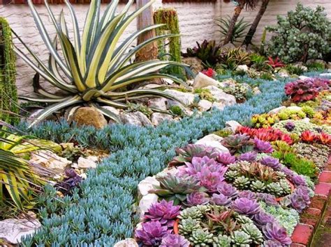 20 Ideas Para Decorar Un Lindo Jardín Con Suculentas