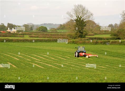 A Tractor Cuts Lush Green Grass In A Typical Devonshire Hay Meadow
