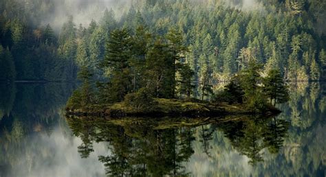Wallpaper Landscape Lake Nature Reflection Morning Mist River