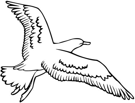 Bird Archives Best Coloring Pages For Kids