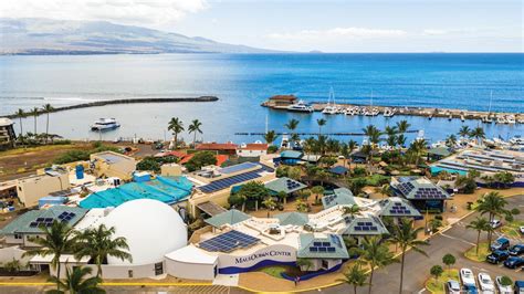 Maui Ocean Center Reopens After A 10 Month Closure Pacific Business News