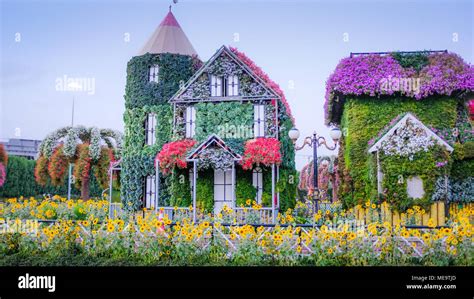 Beautiful Houses Covered With Flowers Stock Photo Alamy