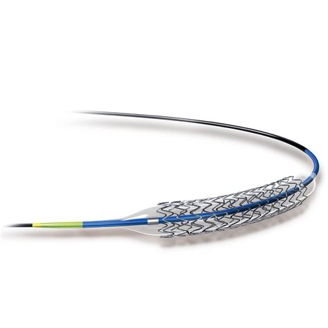 Ion Paclitaxel Coronary Stent System Boston Scientific