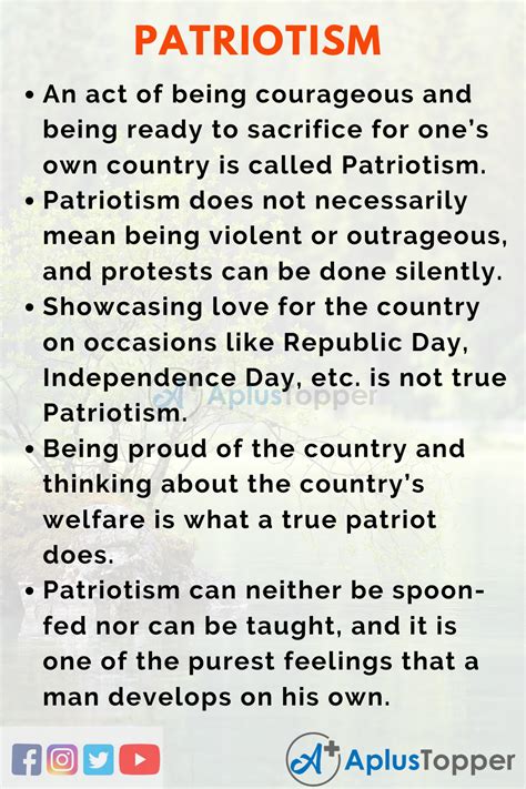 What Patriotism Means To Me Essay What Patriotism Means To Me 2022