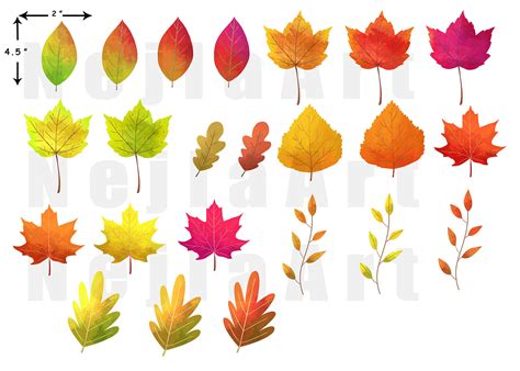 Autumn Leaves Clipart Watercolor Leaves Clipart Fall Leaves Clipart