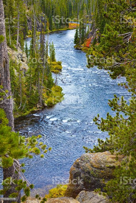 Snake River Flows Through Yellowstone Park Wyoming In Early Autumn