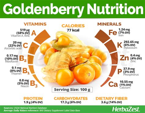 Everything You Need To Know About Goldenberry In One Single