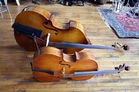Difference Between A Cello And Upright Bass Upright Bass Double Bass Bass