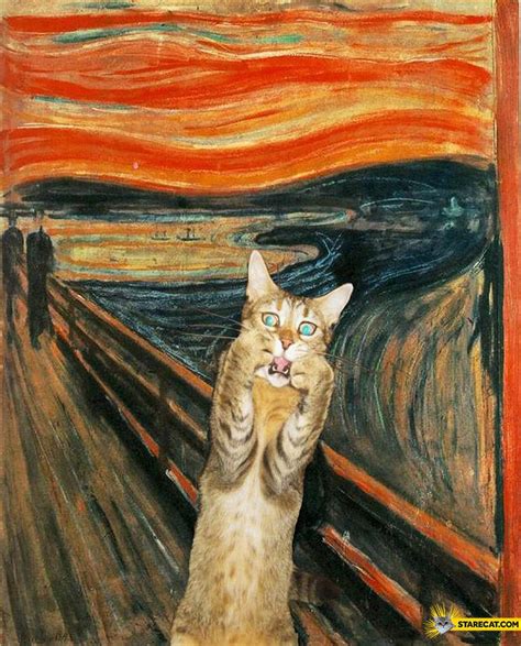 Scream Painting Edvard Munch Cat Cat Art Crazy Cats Cats Illustration