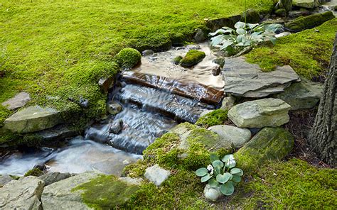 Moss Rock Garden Design Fasci Garden