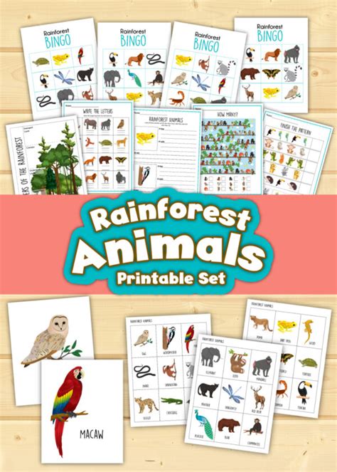 Rainforest Animals Printable Set Pretzel Kids Shop