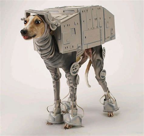 20 Crazy Dog Costumes You Would Love To Put On Your Pooch