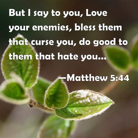 Matthew 544 But I Say To You Love Your Enemies Bless Them That Curse