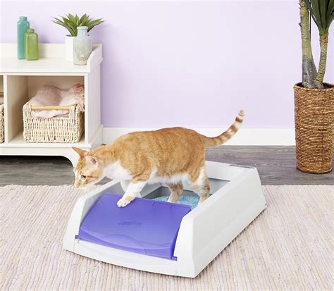 Review This 30 Off Scoopfree Cat Litter Box Is Life Changing
