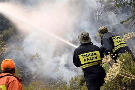 Cyprus Calls For International Aid Amid ‘worst Forest Fire In Cypriot