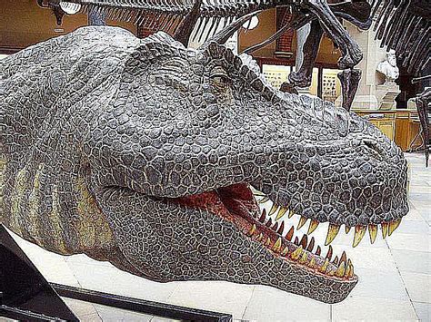 Everything You Need To Know About The 10 Most Famous Dinosaurs