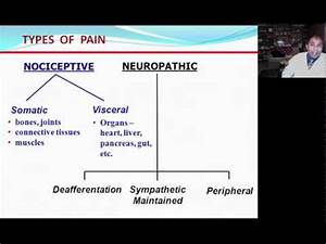 Categories Of Neuropathic Vs Nociceptive Youtube